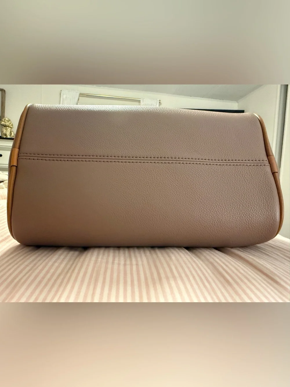 Dooney & Bourke Taupe Satchel with Tan Handles